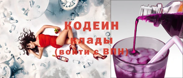 прущие грибы Балабаново